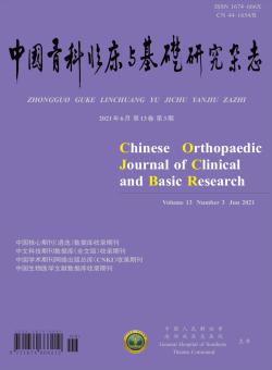 中国骨科临床与基础研究期刊